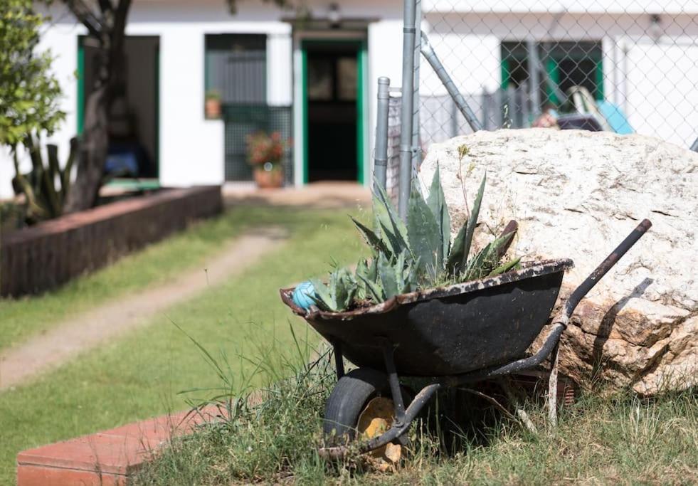 Cottage Eco-Friendly Barcelona Country Side La Garriga Ngoại thất bức ảnh