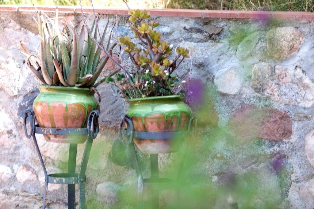 Cottage Eco-Friendly Barcelona Country Side La Garriga Ngoại thất bức ảnh