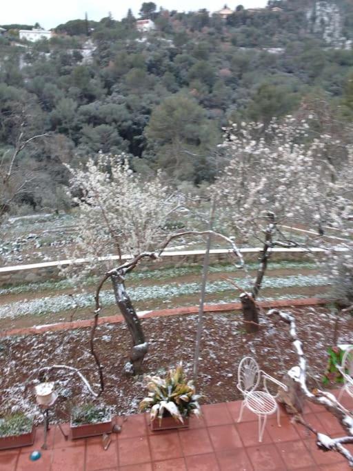 Cottage Eco-Friendly Barcelona Country Side La Garriga Ngoại thất bức ảnh