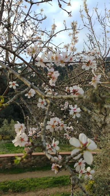 Cottage Eco-Friendly Barcelona Country Side La Garriga Ngoại thất bức ảnh